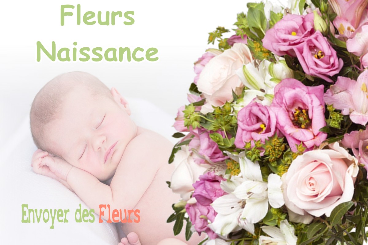 lIVRAISON FLEURS NAISSANCE à DONNEVILLE